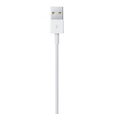 Apple cable USB-A - Lightning 2m Baltas (MD819) 2