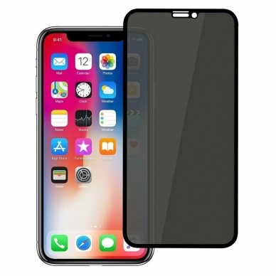 LCD apsauginis stikliukas Full Privacy Apple iPhone 13 Pro Max juodas