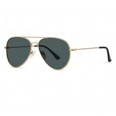 [Užsakomoji prekė] Akiniai Unisex - Techsuit Polarized (3025) - auksinis / Green