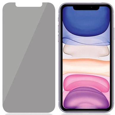 PanzerGlass Standard Fit Apsauginis stiklas privatized iPhone XR/11 2