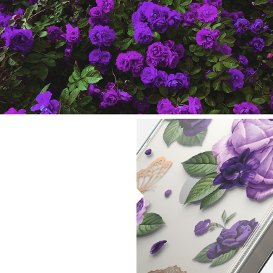 Dėklas Ringke Fusion Design Armored iPhone 14 Plus Permatomas (Purple rose) (FD637E29) 9