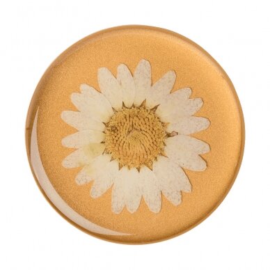 [Užsakomoji prekė] Laikiklis - Popsockets PopTop - Pressed Flower Daisy Baltas 2