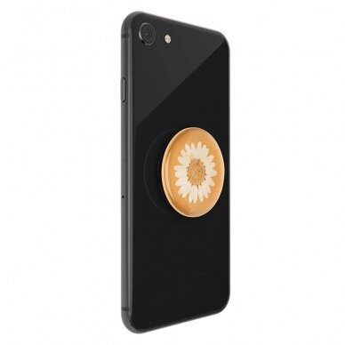 [Užsakomoji prekė] Laikiklis - Popsockets PopTop - Pressed Flower Daisy Baltas 3