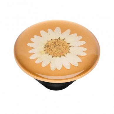 [Užsakomoji prekė] Laikiklis - Popsockets PopTop - Pressed Flower Daisy Baltas